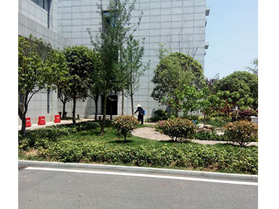 园林养护案例