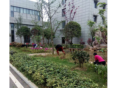 园林养护案例