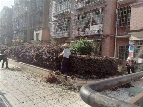 园林修剪