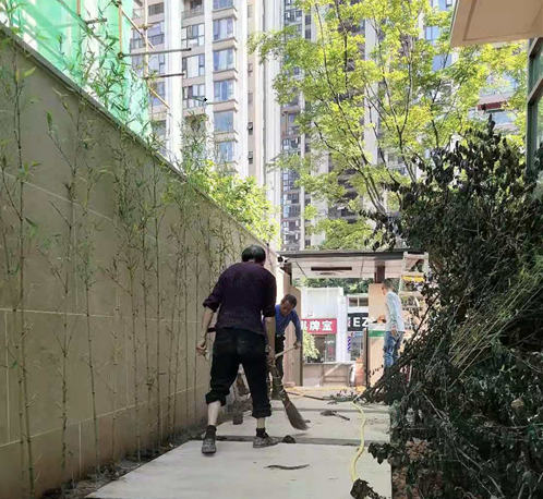 园林修剪