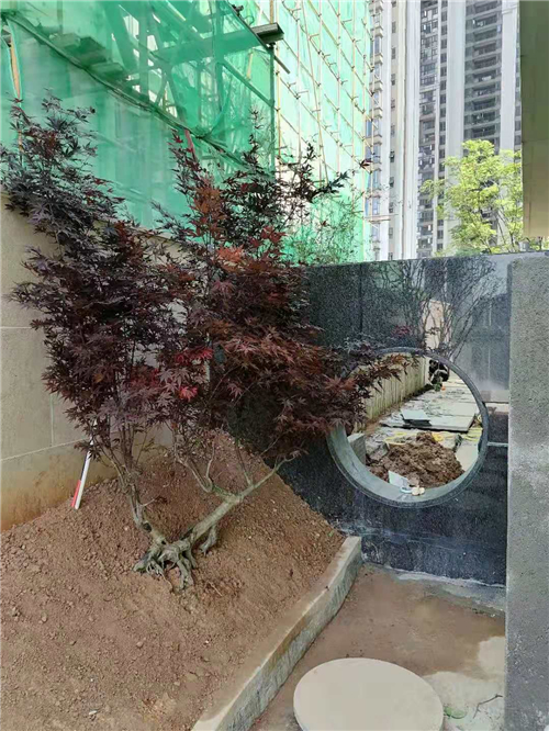 园林修剪