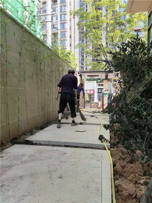 园林修剪