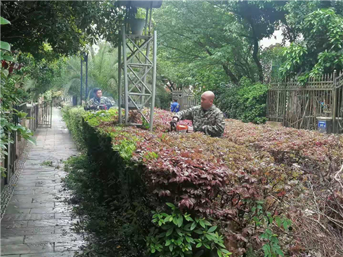 园林修剪
