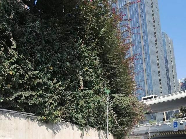 案例