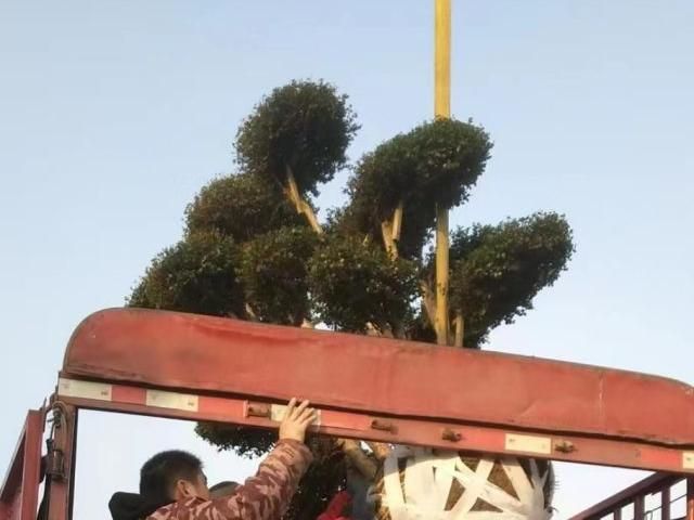 案例
