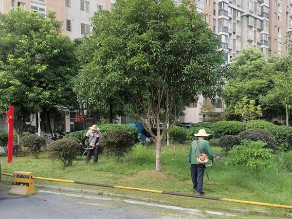 案例