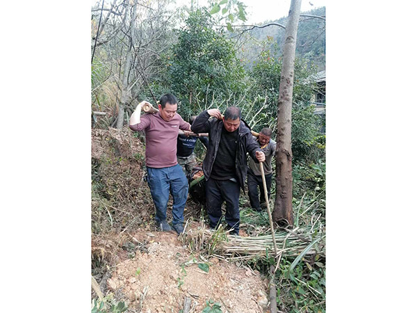 案例