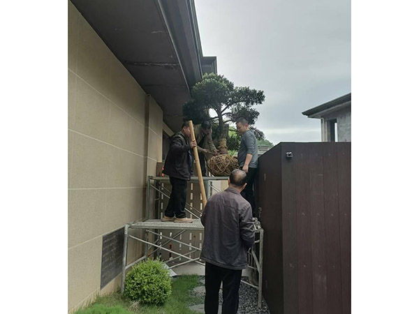 案例