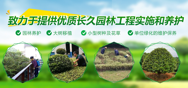 长沙市亮宇园林绿化工程有限公司_长沙园林养护|长沙大树移植|小型树种及花草哪里的好